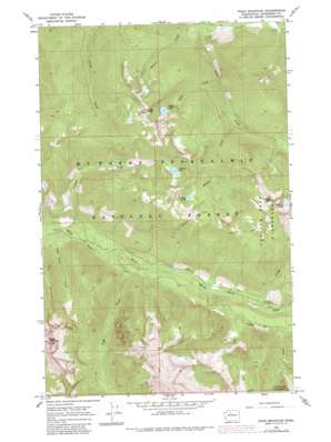 Pugh Mountain USGS topographic map 48121b3