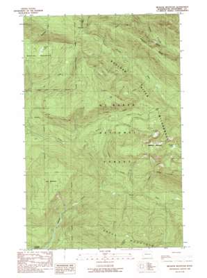 Meadow Mountain topo map