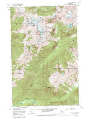 Downey Mountain USGS topographic map 48121c2