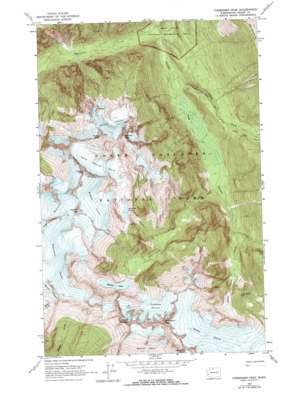 Forbidden Peak USGS topographic map 48121e1