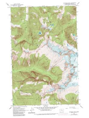 Forbidden Peak USGS topographic map 48121e2