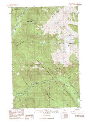 Big Devil Peak USGS topographic map 48121e3