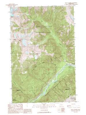 Mount Triumph USGS topographic map 48121f3