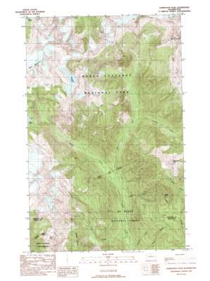 Damnation Peak USGS topographic map 48121f4