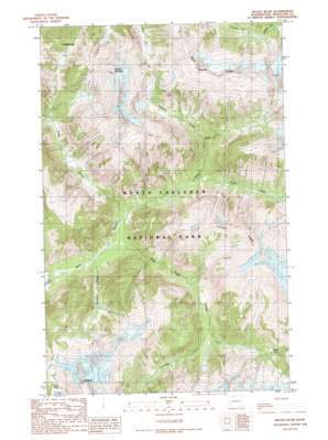 Mount Blum topo map