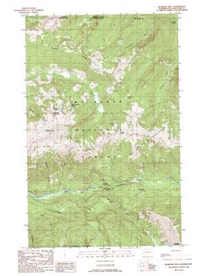 Bearpaw Mountain topo map
