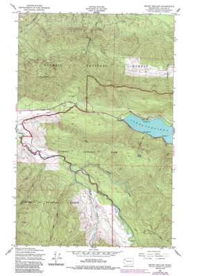 Mount Muller USGS topographic map 48123a8