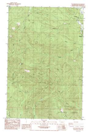 Ellis Mountain USGS topographic map 48124b3