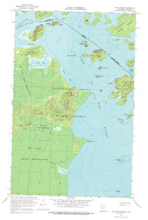 Flag Island USGS topographic map 49094c8