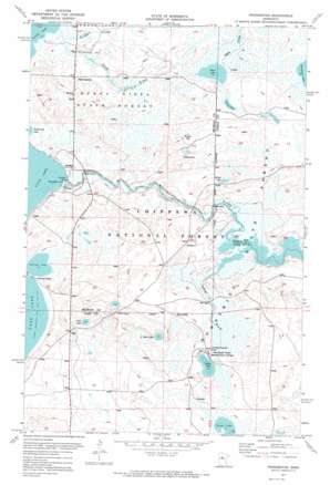 Pennington topo map