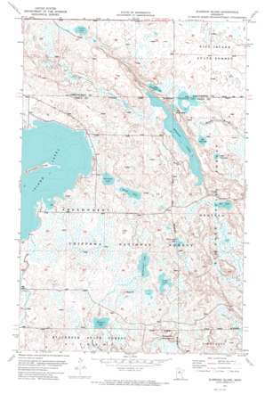 Elmwood Island USGS topographic map 47094g2