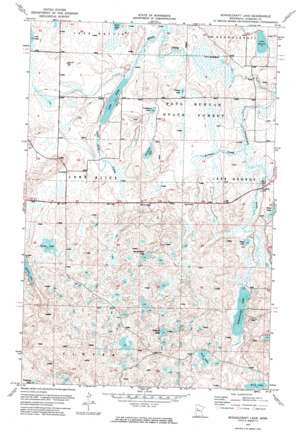 Schoolcraft Lake USGS topographic map 47095b1