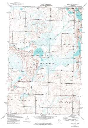 Grant Lake topo map