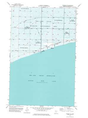 Ponemah NE USGS topographic map 48094b7