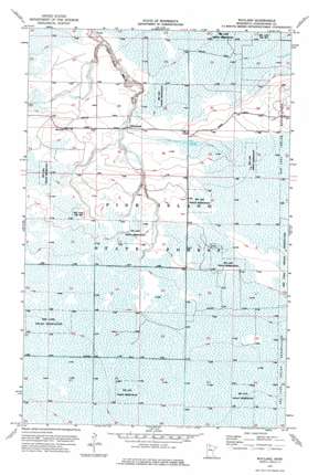 Wayland USGS topographic map 48094d3