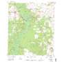 Suwannee River USGS topographic map 29082e8