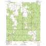Bay Springs USGS topographic map 30087g4