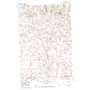 White Butte Nw USGS topographic map 46102f4