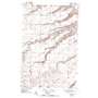 Sawyer Sw USGS topographic map 48101a2