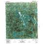 Fort Gadsden USGS topographic map 29084h8