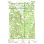 Larks Lake USGS topographic map 45084e8