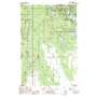 Cusino USGS topographic map 46086d3