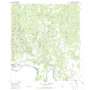Roma-Los Saenz East USGS topographic map 26098d8
