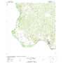 Roma-Los Saenz West USGS topographic map 26099d1