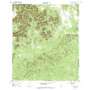 Texas Mountain USGS topographic map 29099e3