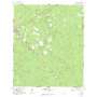 Ludowici USGS topographic map 31081f6