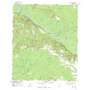Altamaha Se USGS topographic map 31082g1