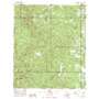 Choctaw Bluff USGS topographic map 31087d7