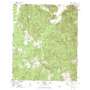 Isney USGS topographic map 31088g4