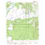 Buck Island USGS topographic map 31091c4