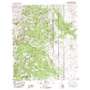 Mount Baldy USGS topographic map 31108f8