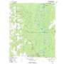 Blue Springs Landing USGS topographic map 32081f4