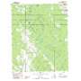 Britton Neck USGS topographic map 33079h3