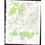 Fort Pillow USGS topographic map 35089f6