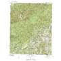 Flag Pond USGS topographic map 36082a5