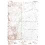 Rhyolite Ridge Ne USGS topographic map 37117h7