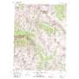 Snowmass Mountain USGS topographic map 39107a1