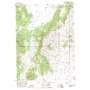 Tognini Spring USGS topographic map 39115h4