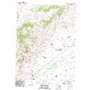 Flowery Peak USGS topographic map 39119c5