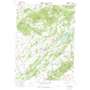Wellsville USGS topographic map 40076a8