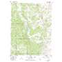 Tyler Mountain USGS topographic map 40106b5
