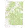 Shield Mountain USGS topographic map 40107h1