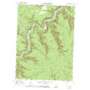 Snow Shoe Nw USGS topographic map 41077b8