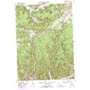Austin USGS topographic map 41078f1