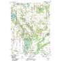 Mottville USGS topographic map 41085g7