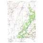 Nichols USGS topographic map 41091d3